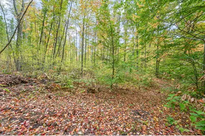 13540 8 Mile Rd, Evart, MI 49631 - Photo 17