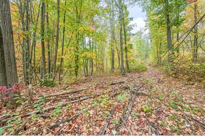 13540 8 Mile Rd, Evart, MI 49631 - Photo 3