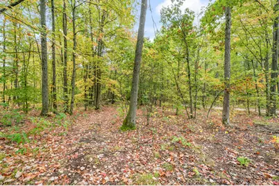 13540 8 Mile Rd, Evart, MI 49631 - Photo 13