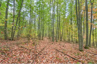 13540 8 Mile Rd, Evart, MI 49631 - Photo 9