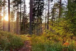 3711 Bradford St NE, Grand Rapids, MI 49525 - Photo 1