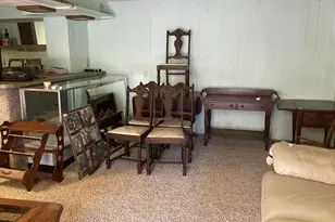 7250 S Sheridan Rd, Sheridan, MI 48884 - Photo 43