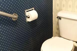 7250 S Sheridan Rd, Sheridan, MI 48884 - Photo 35