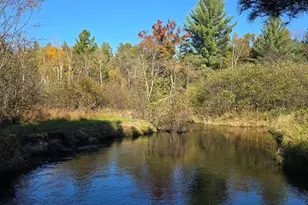 10652 N River Rd, Irons, MI 49644 - Photo 15