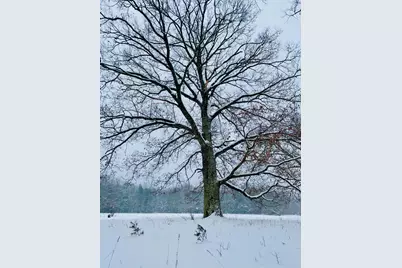 10652 N River Road, Irons, MI 49644 - Photo 11