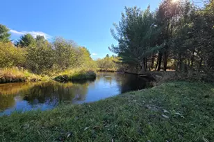 10652 N River Rd, Irons, MI 49644 - Photo 25