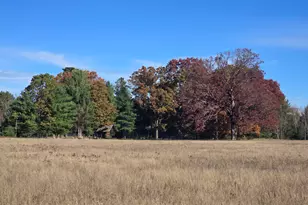 10652 N River Rd, Irons, MI 49644 - Photo 29