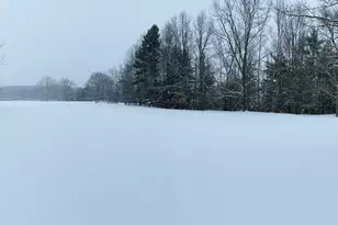 10652 N River Rd, Irons, MI 49644 - Photo 17