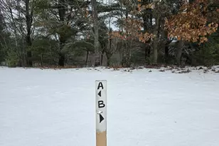 10652 N River Rd, Irons, MI 49644 - Photo 35