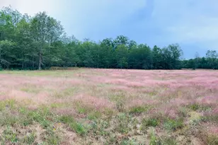 10652 N River Rd, Irons, MI 49644 - Photo 5