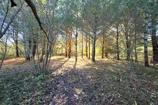 10652 N River Rd, Irons, MI 49644 - Photo 13