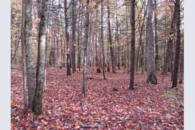 4015 Wilson Beach Road, Twin Lake, MI 49457 - Photo 5