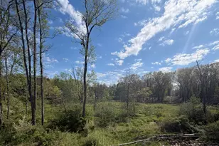 10545 Sharon Lee Ln, Portage, MI 49024 - Photo 29