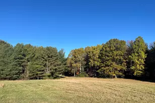 5656 Monroe Rd, Lakeview, MI 48850 - Photo 47