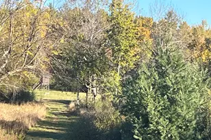 5656 Monroe Rd, Lakeview, MI 48850 - Photo 51