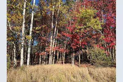 5656 Monroe Road, Lakeview, MI 48850 - Photo 41