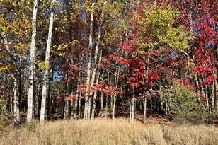 5656 Monroe Rd, Lakeview, MI 48850 - Photo 41