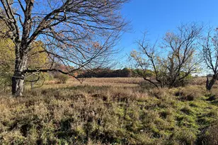 5656 Monroe Rd, Lakeview, MI 48850 - Photo 35