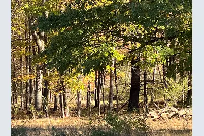 5656 Monroe Road, Lakeview, MI 48850 - Photo 43