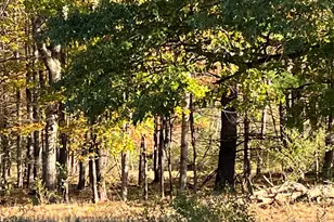 5656 Monroe Rd, Lakeview, MI 48850 - Photo 43