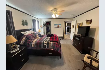 5656 Monroe Road, Lakeview, MI 48850 - Photo 15