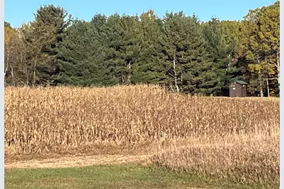 5656 Monroe Road, Lakeview, MI 48850 - Photo 53