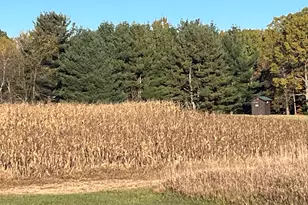 5656 Monroe Rd, Lakeview, MI 48850 - Photo 53