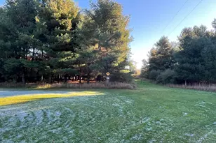 5656 Monroe Rd, Lakeview, MI 48850 - Photo 49