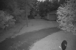 5490 S Harrison Rd, Houghton Lake, MI 48629 - Photo 133