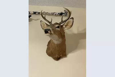 5490 S Harrison Road, Houghton Lake, MI 48629 - Photo 137