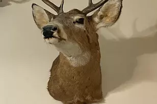 5490 S Harrison Rd, Houghton Lake, MI 48629 - Photo 137