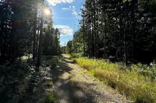 5490 S Harrison Rd, Houghton Lake, MI 48629 - Photo 69