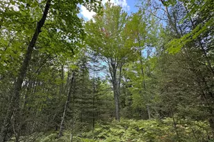 5490 S Harrison Rd, Houghton Lake, MI 48629 - Photo 83