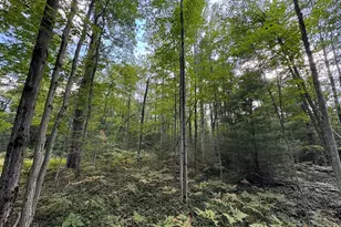 5490 S Harrison Rd, Houghton Lake, MI 48629 - Photo 79