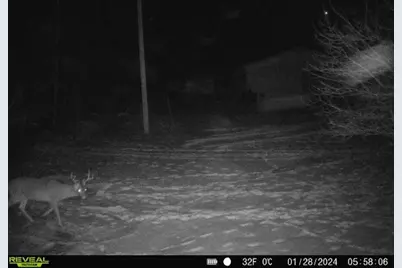 5490 S Harrison Road, Houghton Lake, MI 48629 - Photo 131