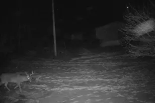 5490 S Harrison Rd, Houghton Lake, MI 48629 - Photo 131