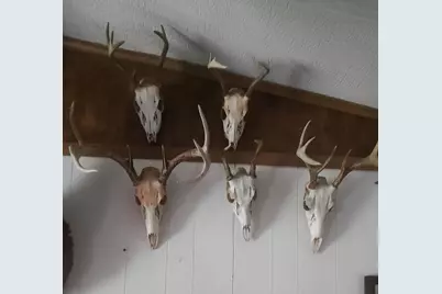 5490 S Harrison Road, Houghton Lake, MI 48629 - Photo 135