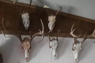 5490 S Harrison Rd, Houghton Lake, MI 48629 - Photo 135