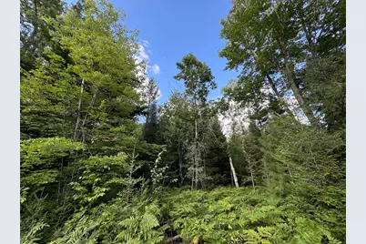 5490 S Harrison Road, Houghton Lake, MI 48629 - Photo 77