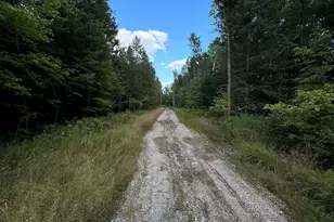 5490 S Harrison Rd, Houghton Lake, MI 48629 - Photo 87