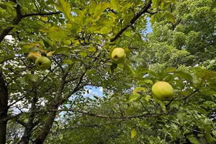 5490 S Harrison Rd, Houghton Lake, MI 48629 - Photo 59