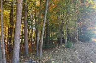 Oakridge Dr, Ludington, MI 49431 - Photo 3