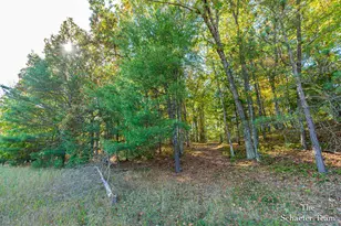 11256 S Roby Lake Dr, Baldwin, MI 49304 - Photo 31