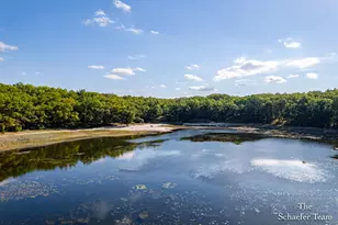 11256 S Roby Lake Dr, Baldwin, MI 49304 - Photo 39