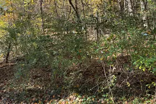 5898 M-37, Hastings, MI 49058 - Photo 11