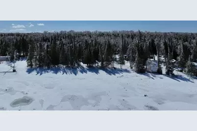 4525 Straits View Drive, Carp Lake, MI 49718 - Photo 31