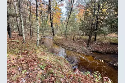 3973 E Creek Wood Drive, Chase, MI 49623 - Photo 49