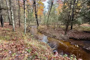 3973 E Creek Wood Dr, Chase, MI 49623 - Photo 49