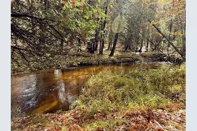 3973 E Creek Wood Drive, Chase, MI 49623 - Photo 51