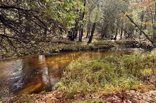 3973 E Creek Wood Dr, Chase, MI 49623 - Photo 51